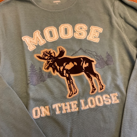 GYMBOREE boys long sleeve shirts featuring outdoors - Picture 6 of 12